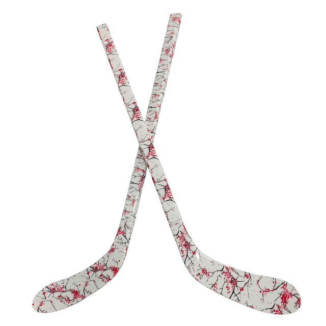 Kids Durable ABS Ice Hockey St - đánh giá và giá Kids Outdoor Gift Ideas